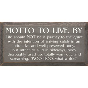 Slickblue Inspirational Wood Wall Sign – Life Is A Ride Quote – Rustic Decor Accent – 9x18 Inches, Multi Color Options - 1 of 3