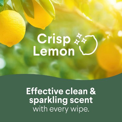 Clorox Disinfecting Wipes - Thumbnail 5