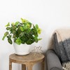 Northlight 18.5" Two-Tone Begonia Flower Artificial Spring Floral Bush - Green - 2 of 4