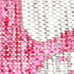fuchsia/light gray