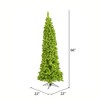 Vickerman Flocked Lime Pencil Fir Artificial Christmas Tree - 2 of 2