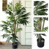 Nature Spring 5" Artificial Indoor/Outdoor Potted Tropical Palm Tree - 4 of 4