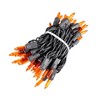 Novelty Lights 11 Feet 50 Bulbs Incandescent Mini Lights, Clear on Brown Wire with 2.5" Spacing, UL Listed for Indoor/Outdoor Use, Connectable - 3 of 4