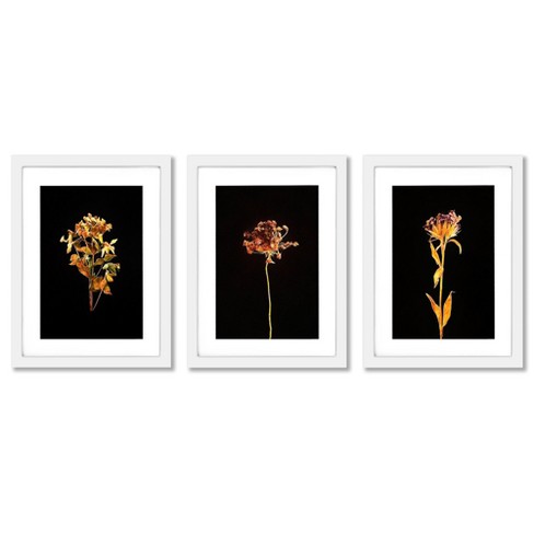 set Of 3) Dark Botanicals By Chaos & Wonder Design White Matted Framed  Triptych Wall Art Set 16 X 20 Americanflat - Americanflat : Target