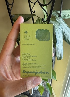 bogenhanf gro kaufen SANSEVIERIA AUBRYTNIANA DRAGON online kaufen bei potflourri