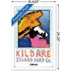 Trends International Netflix Outer Banks: Season 4 - Male Kildare Island Surfboard Co. Framed Wall Poster Prints - 3 of 4
