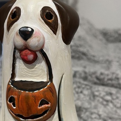 Guest review image 6 of 6, zoom in