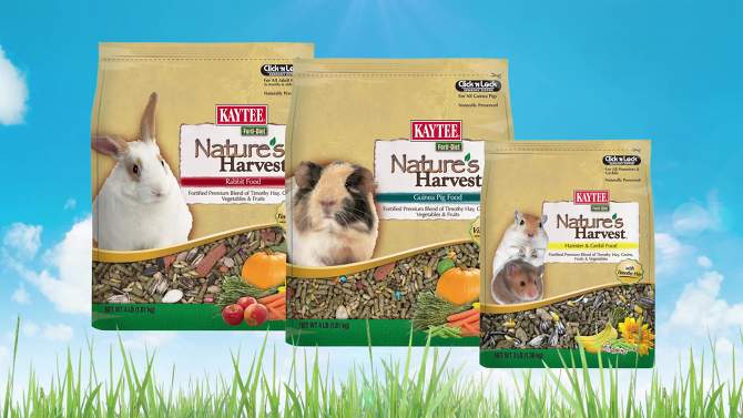 Kaytee Nature&#39;s Vegetable, Grain, Fruit Harvest Guinea Pig Small Animal Food - 4lbs, 6 of 7, play video
