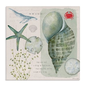 Stupell Industries Sea Shell Inspirational Collage, 24" x 24" - 1 of 4