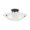 Livex Lighting Oasis 3 - Light Flush Mount in  Bronze - 2 of 4