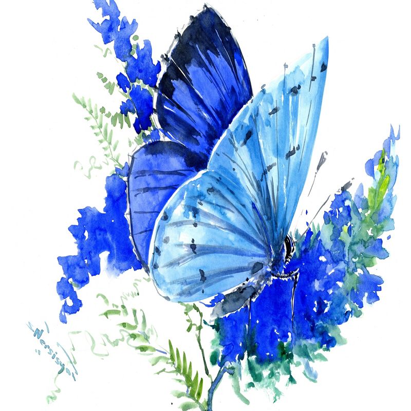 Americanflat 71" x 74" Shower Curtain, Holly Blue Butterfly 1  by Suren Nersisyan, 3 of 9