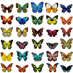 Wrapables Magnetic Butterfly Bookmarks, Page Marker, Foldable Butterfly Page Clips (Set of 30) - 1 of 4