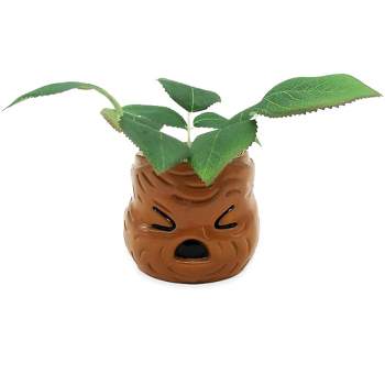 Silver Buffalo Harry Potter Mandrake Face 6-Inch Ceramic Planter with Artificial Succulent