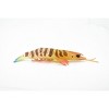 Collectible Wildlife Gifts | Shrimp, Prawn, Tiger Shrimp, Museum Quality, Hand Painted, Rubber Crustaceans,  Toy Model, Gift,   7"  CH245 BB122 - 4 of 4
