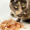 Cat Sushi Thick Cut Tuna Cat Treats - 0.7oz - image 3 of 4