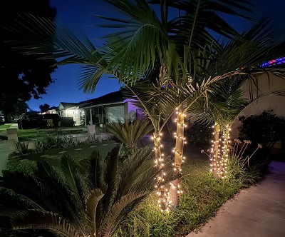 Guest review image 1 of 1, zoom in