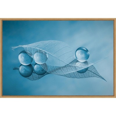 23" x 16" Dry leaf and Bubbles by Lydia Jacobs Framed Wall Canvas - Amanti Art