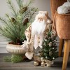 2.5' Sullivans Tabletop Black Hills Pine Tree, Green - 3 of 3