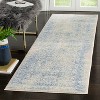 Adirondack ADR109 Non-Shedding Power Loomed Indoor Rugs - Safavieh - 2 of 4
