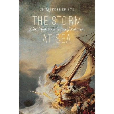 The Storm at Sea - by  Christopher Pye (Hardcover)