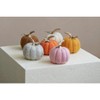 Shiraleah Assorted Set Of 6 Felt Fall Decorative Pumpkins - 2 of 4