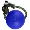 Jolly Pets, Inc. Romp-n-Roll Ball Dog Toy Color: Blue 8" - 3 of 3