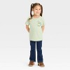 Toddler Girls' Apple Juice Graphic T-Shirt - Cat & Jack™ Sage Green - 4 of 4