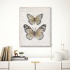 Courtside Market Botanical Butterfly IIV Gallery-Wrapped Canvas - 2 of 4