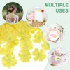 Unique Bargains Silk Fake Plum Blossom Artificial Flower Heads - 4 of 4
