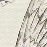 farmhouse gray