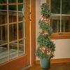 3.6' Prelit Artificial Boxwood Spiral Topiary Whtie Lights - National Tree Company - 2 of 4