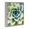 Stupell Industries Green Succulent Nature Close Up, 24" x 24" - 3 of 4