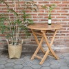 Decksplore Teak 3-piece outdoor furniture set suitable for Patio - 3 of 4