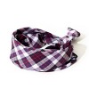 The Worthy Dog Navy/Red/White Madras Plaid Square Bandana - 2 of 3