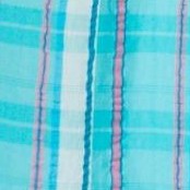 aquamarine plaid