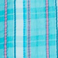 aquamarine plaid