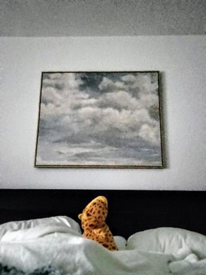 Guest review image 1 of 1, zoom in