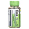 Solaray True Herbs Super Aloe Vera, 8,000 mg, 100 VegCaps - 3 of 4