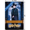 Trends International Harry Potter and the Philosopher's Stone - McGonagall Unframed Wall Poster Prints - 3 of 4