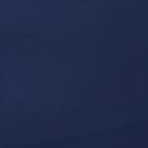inky indigo