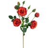 Northlight Real Touch™ Orange and Red Artificial Camellia Rose Floral Sprays, Set of 6 - 23" - 4 of 4