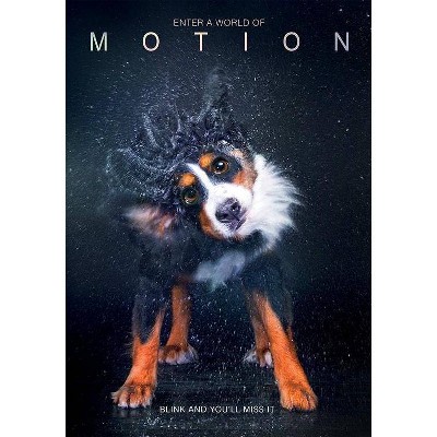 Motion (DVD)(2017)