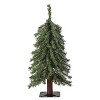 Haute Décor 24" Pre-lit Mountain Fir Mini Artificial Christmas Tree with White LED Lights - 2 of 4