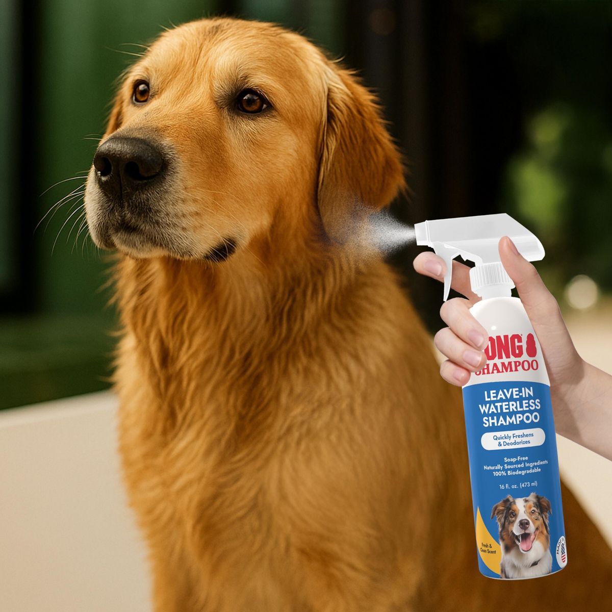 KONG Leave in Waterless Fresh Scented Dog Shampoo - 16 fl oz - thumbnail 5