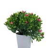 Unique Bargains Artificial Plants Mini Gypsophila Plastic 2.36"x2.36"x5.12" 1 Pc - 4 of 4