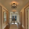 PAKOKULA Industrial 11.8 in. 3-Light Black Cage Ceiling Flush-Mount Light Fixture - 3 of 4