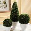 Plum & Post Boxwood Cone Topiary In Pot - 2 of 4