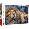 Trefl Sleeping Lion Jigsaw Puzzle - 1000pc - 2 of 3