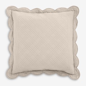 BrylaneHome 100% Cotton Florence Euro Sham - Euro, Ecru - 1 of 1