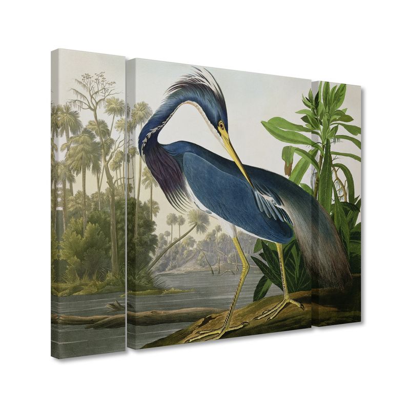 Trademark Fine Art - John James Audubon 'Louisiana Heron' Multi Panel Art Set Large, 2 of 4